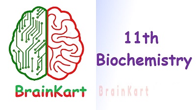 11th Biochemistry